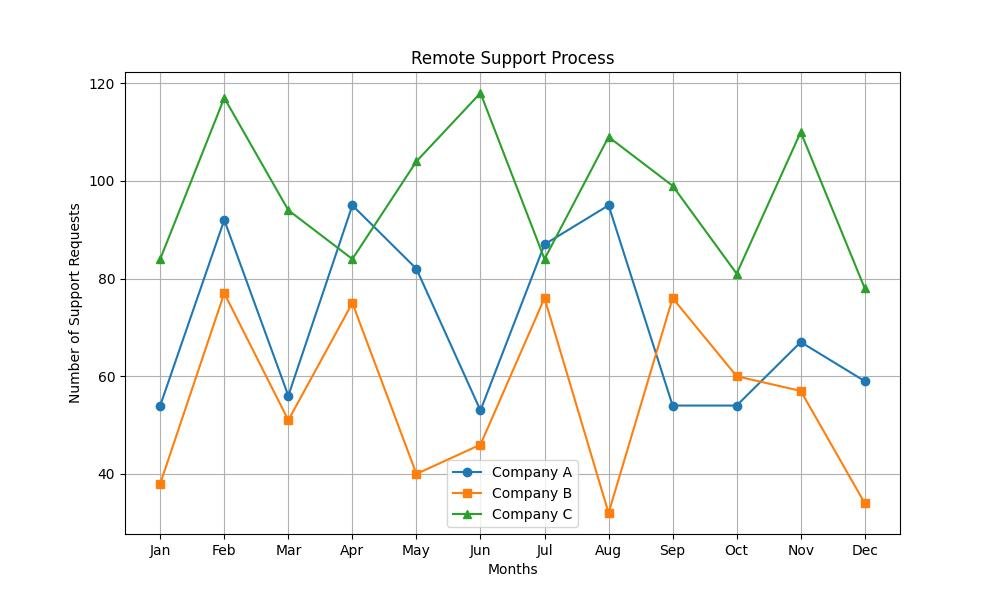 Remote Computer Support